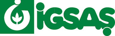 İGSAŞ